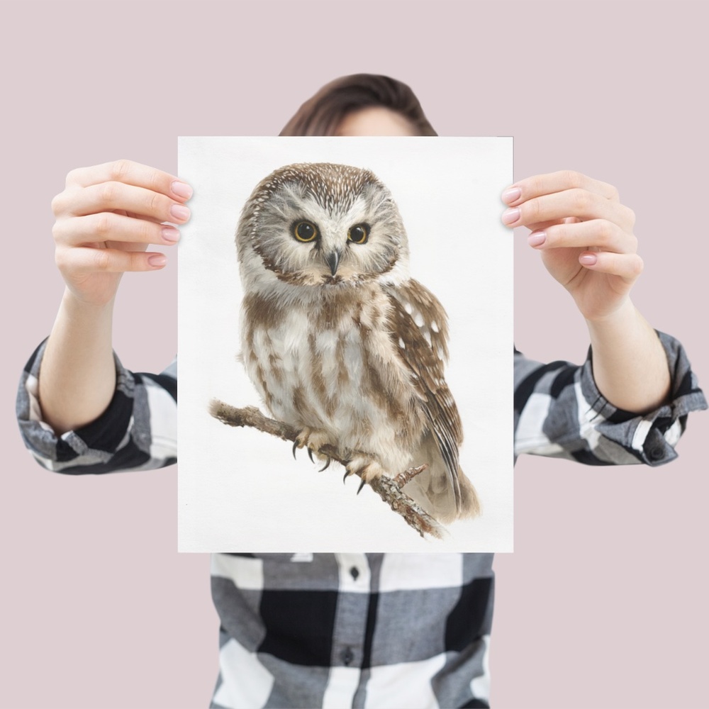 Watercolor Boreal Owl Portrait Wall Art Print Poster, Unframed - Charming - Picture 4 of 6